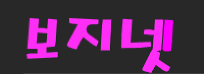 보지넷