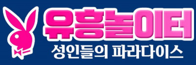 유흥놀이터
