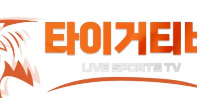 타이거티비
